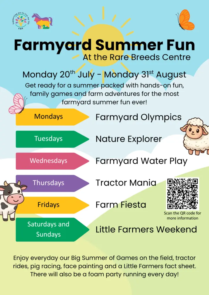 Farmyard Summer Fun