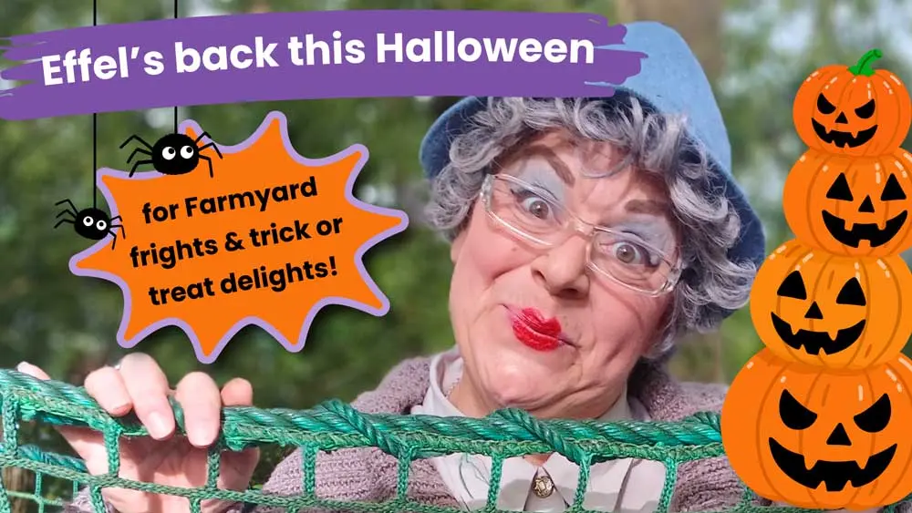 Farmyard Frights and Trick or Treat Delights